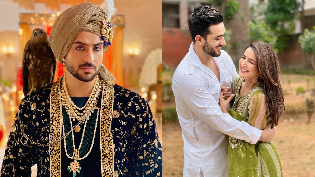 Aly Goni Biography And Net Worth